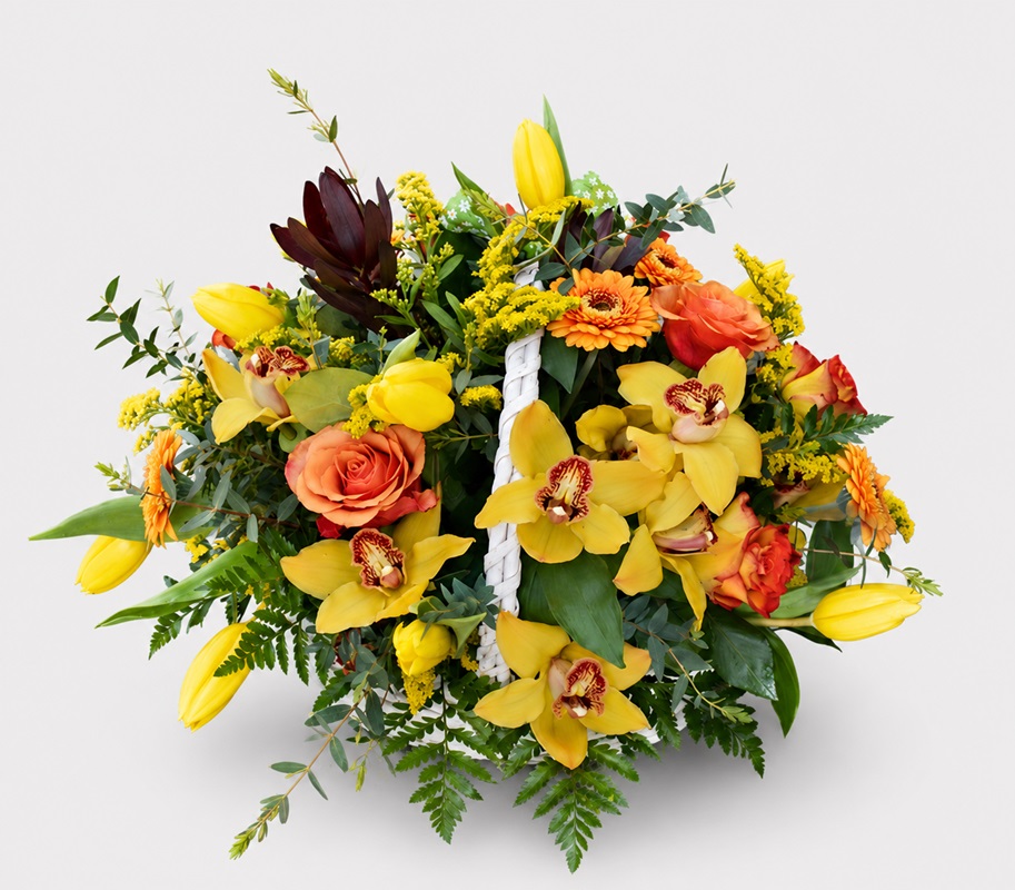 aranjament floral in cos cu lalele si orhidee cymbidium