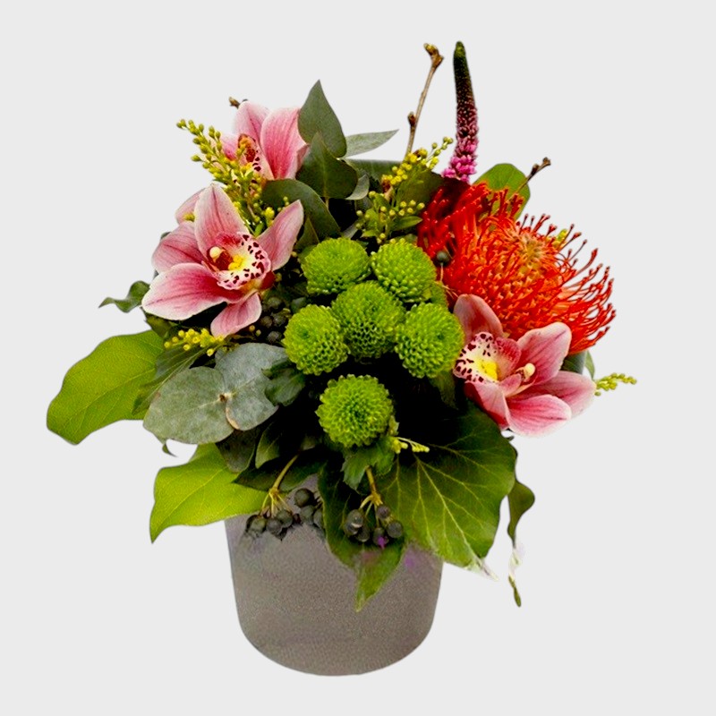 Inspiratie cu Stil