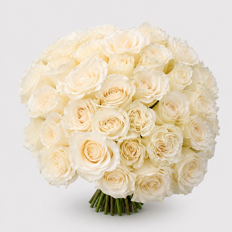 buchet cadou cu 35 trandafiri albi