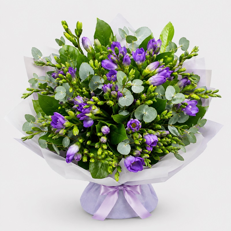 Buchet 25 frezii mov