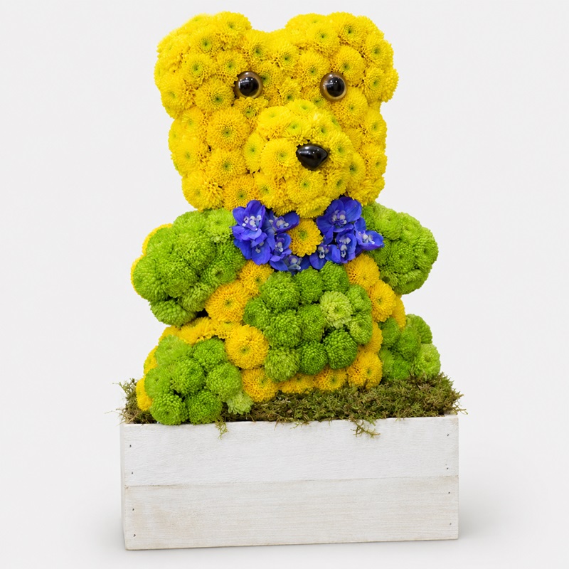 Teddy Bear