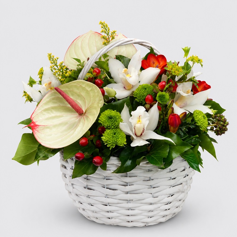 Cos cadou cu anturium si orhidee cymbidium
