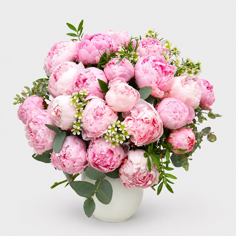 Buchet cadou 21 Bujori Roz