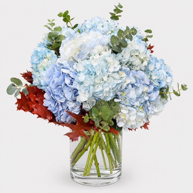 buchet cu hortensii