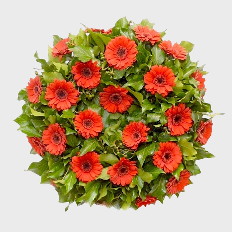 Coroana funerara rotunda cu gerbera rosie