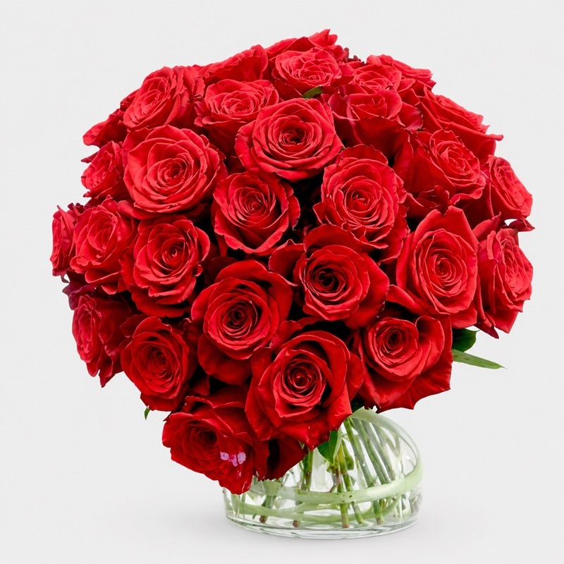 buchet cadou cu 33 trandafiri rosii